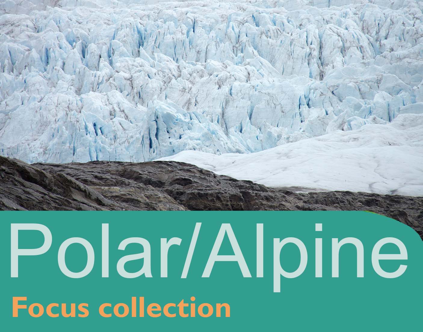 Polar/Alpin plants (June 2023)