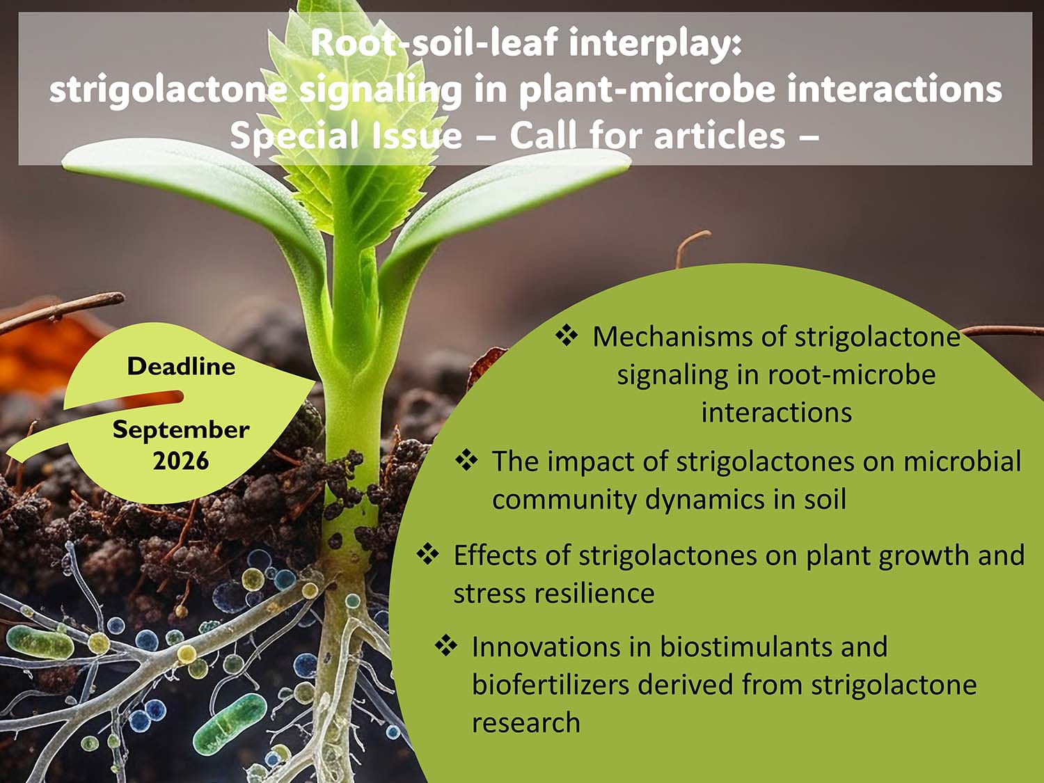 Call for articles – Root-soil-leaf interplay: strigolactone signaling in plant-microbe interactions
