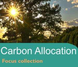 Carbon Allocation - 2025